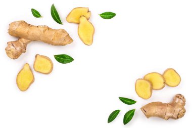 taze zencefil kökü ve kopya alanı metniniz için beyaz zemin üzerine izole dilim. Üstten görünüm. Düz yatıyordu