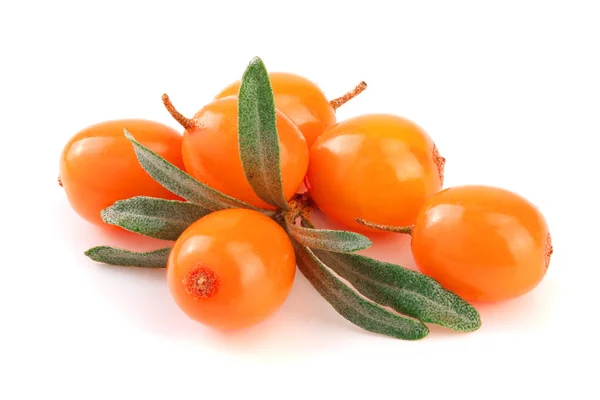 Sanddorn. frische reife Beeren mit Blättern isoliert auf weißem Hintergrund Makro — Stockfoto