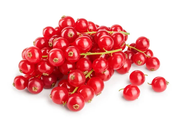 Porzeczka czerwona jagoda na białym tle — Zdjęcie stockowe