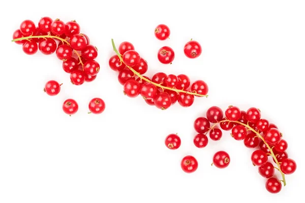 Bacca di ribes rosso isolata su sfondo bianco con spazio di copia per il testo. Vista dall'alto. Modello di posa piatta — Foto Stock