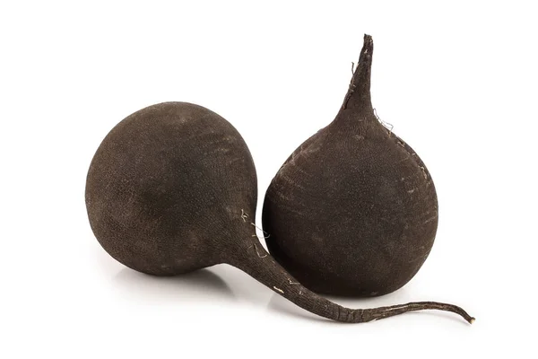 Two black radish isolated on white background — Stock Photo, Image