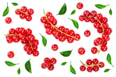 Red currant berry with leaf isolated on white background. Top view. Flat lay pattern clipart
