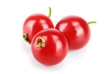 Beyaz arka plan üzerinde izole kırmızı kuş üzümü berry