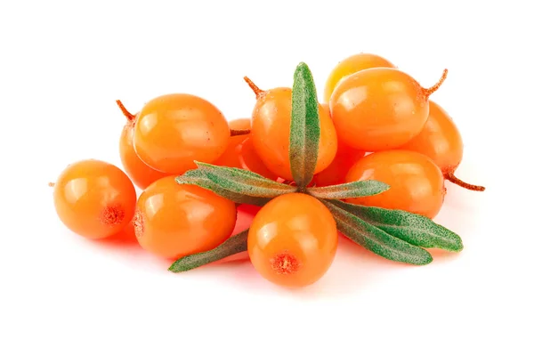 Sea buckthorn. Fresh ripe berry with leaves isolated on white background macro — Stock Photo, Image