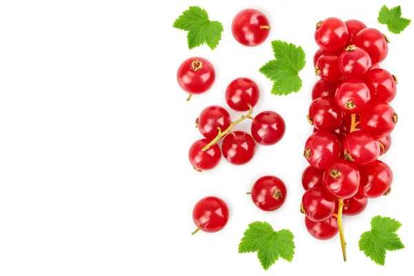 Bacca di ribes rosso con foglia isolata su sfondo bianco con spazio di copia per il testo. Vista dall'alto. Modello di posa piatta — Foto Stock