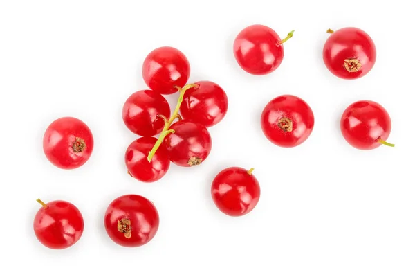 Porzeczka czerwona jagoda na białym tle. Widok z góry. Wzór prosty lay — Zdjęcie stockowe