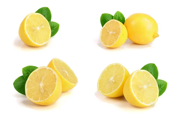 흰색 배경에 고립 된 잎과 레몬이 든 설정 또는 컬렉션 — 스톡 사진