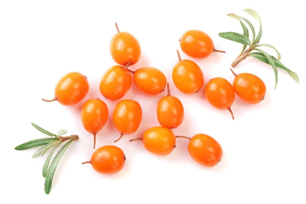 Sea buckthorn. Fresh ripe berry with leaves isolated on white background. Top view. Flat lay pattern — Stock Photo, Image
