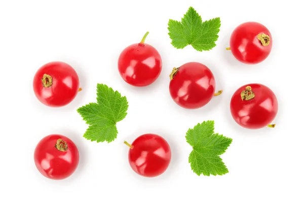 Merah currant berry diisolasi pada latar belakang putih. Pemandangan bagus. Pola lay datar — Stok Foto