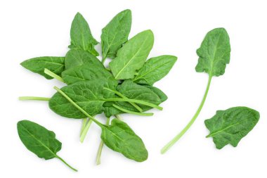 taze ıspanak üzerinde beyaz arka plan izole. Üstten Görünüm. Düz yatıyordu