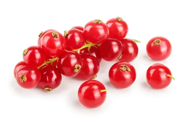 Porzeczka czerwona jagoda na białym tle — Zdjęcie stockowe