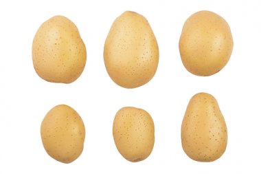 Genç patates beyaz arka plan üzerinde izole. Hasat yeni. Üst te. Düz yatıyordu
