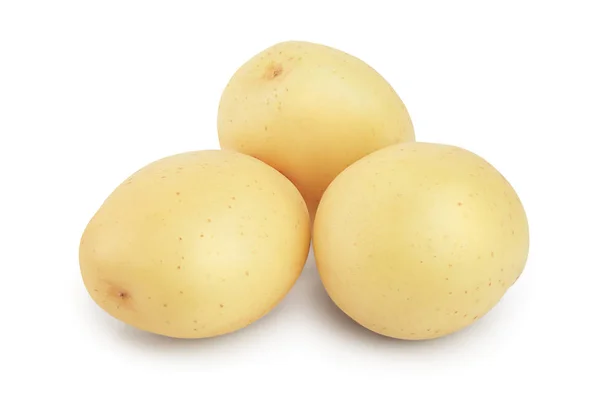 Νεαρή πατάτα απομονωμένη σε λευκό φόντο. Νέος τρύγος — Φωτογραφία Αρχείου