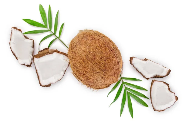 Kokosnuss mit isolierten Blättern auf weißem Hintergrund mit Kopierplatz für Ihren Text. Ansicht von oben. flache Lage — Stockfoto