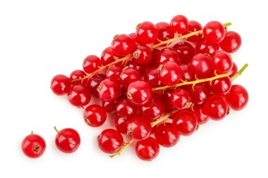 Beyaz arka plan üzerinde izole kırmızı kuş üzümü meyve. Üstten Görünüm. Düz yatıyordu desen