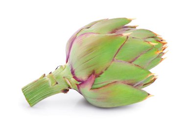 Beyaz arka planda izole taze enginar