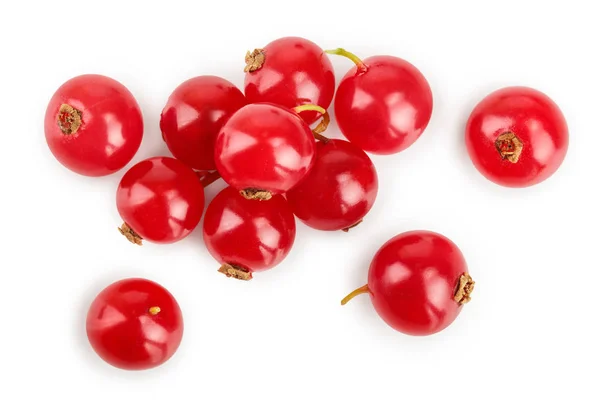 Porzeczka czerwona jagoda na białym tle. Widok z góry. Wzór prosty lay — Zdjęcie stockowe