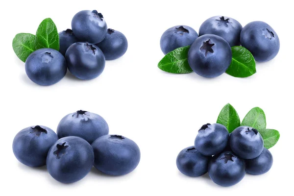 Frische Blaubeere mit isolierten Blättern auf weißem Hintergrund Nahaufnahme. Set oder Kollektion — Stockfoto