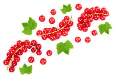 İzole kopya alanı metniniz için beyaz zemin üzerine kırmızı kuş üzümü meyve. Üstten Görünüm. Düz yatıyordu desen