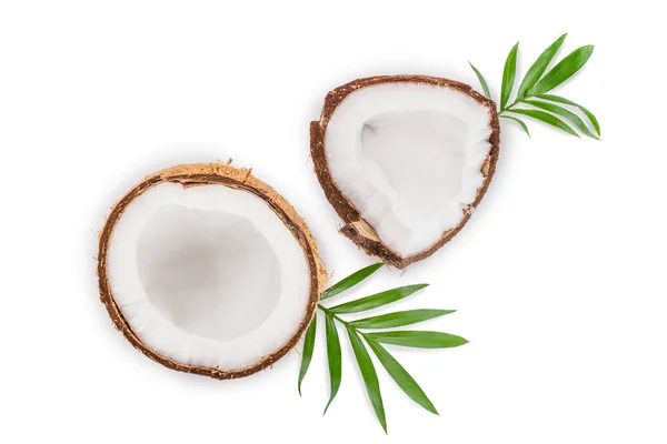Noix de coco avec des feuilles isolées sur fond blanc. Vue de dessus. Pose plate — Photo
