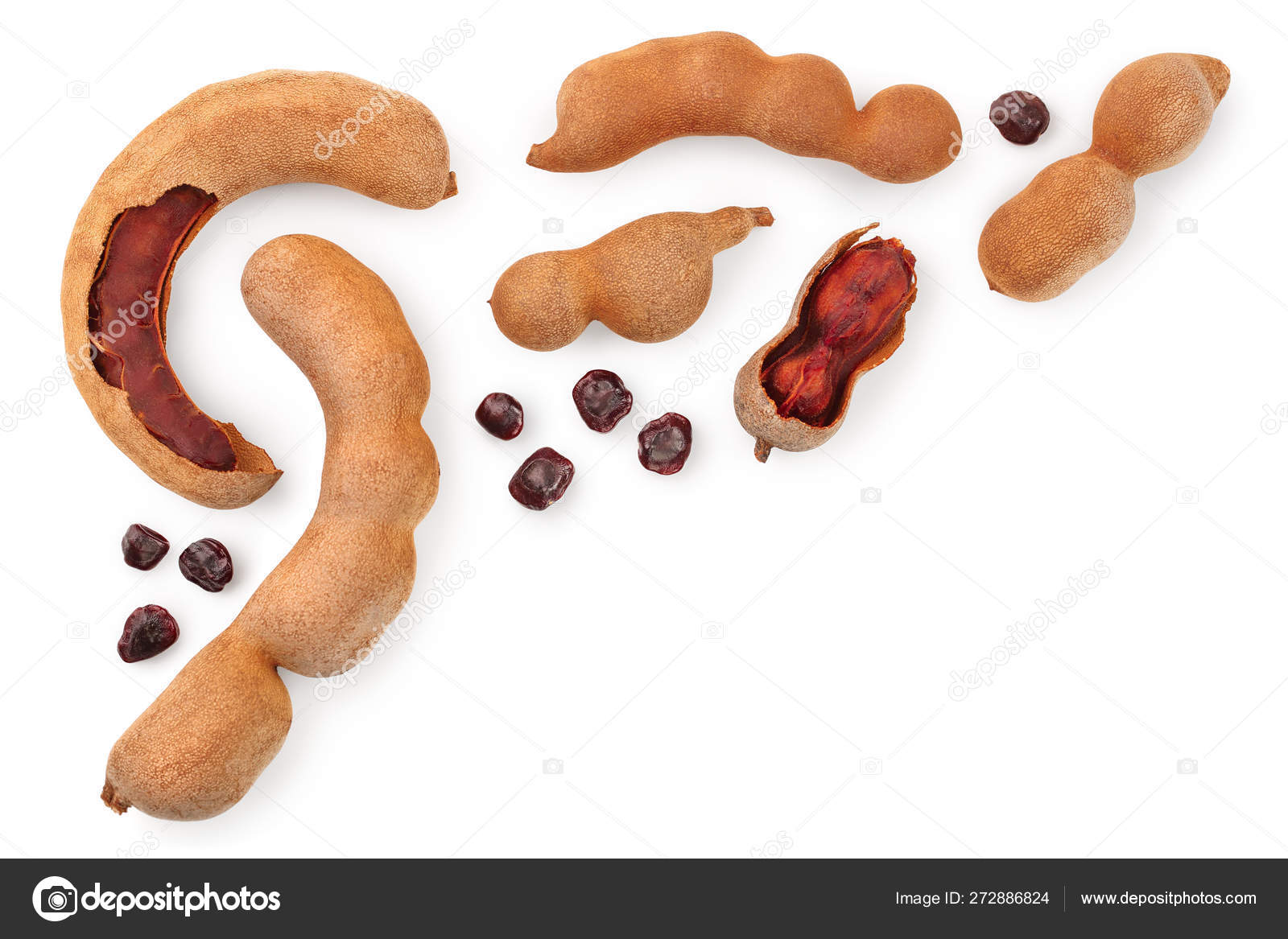 Tamarind Fruit With Seed Isolated On White Background With Copy Space For Your Text Top View Flat Lay Stock Photo Image By C Kolesnikovserg