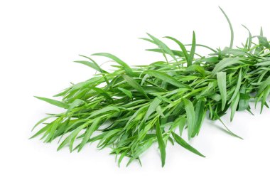 Taron veya Estragon beyaz bir arka planda izole. Artemisia dracunculus