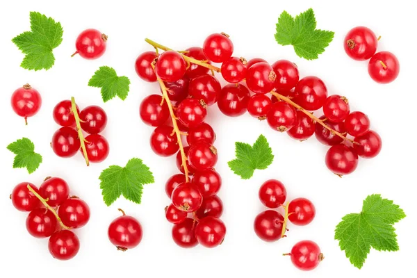 Bayas de grosella roja con hojas aisladas sobre fondo blanco. Vista superior. Patrón de colocación plana — Foto de Stock