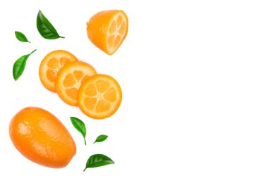 Metin için kopya alanı ile beyaz arka planda izole dilimler ile cumquat veya Kumquat. Üst görünüm. Düz yatma