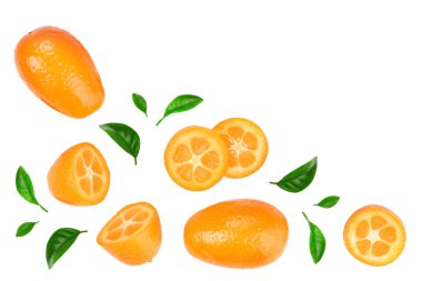 Metin için kopya alanı ile beyaz arka planda izole dilimler ile cumquat veya Kumquat. Üst görünüm. Düz yatma