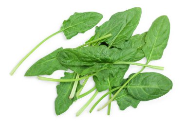 taze ıspanak üzerinde beyaz arka plan izole. Üstten Görünüm. Düz yatıyordu