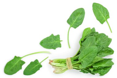 taze ıspanak kopya alanı metniniz için beyaz zemin üzerine izole. Üstten Görünüm. Düz yatıyordu