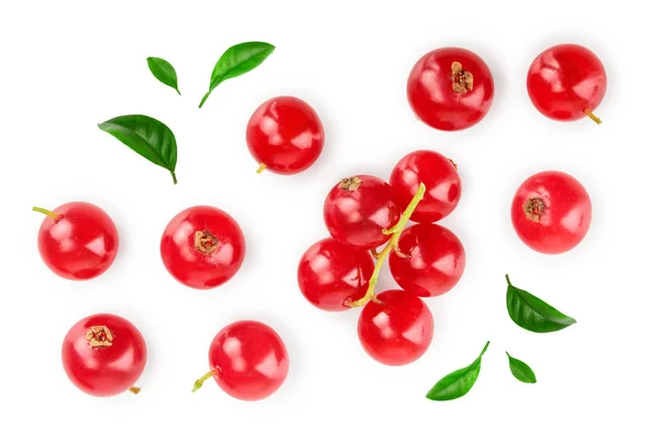 Porzeczka czerwona jagoda z liść na białym tle. Widok z góry. Wzór prosty lay — Zdjęcie stockowe