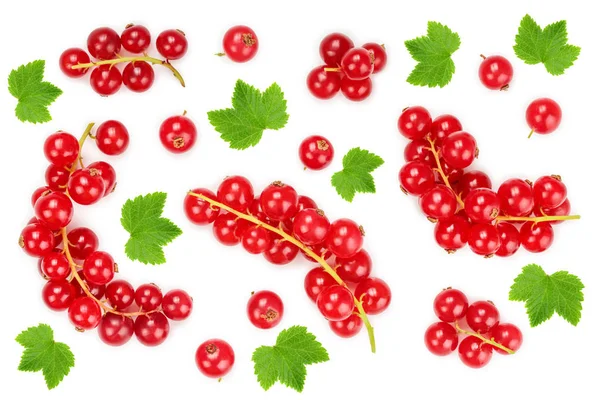 Groseille rouge avec feuille isolée sur fond blanc. Vue de dessus. Modèle de pose plat — Photo