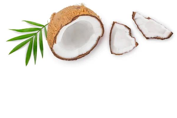 Kokosnuss mit isolierten Blättern auf weißem Hintergrund mit Kopierplatz für Ihren Text. Ansicht von oben. flache Lage — Stockfoto