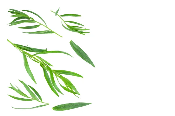 Dragoncello o estragone isolato su sfondo bianco con spazio di copia per il testo. Artemisia dracunculus. Vista dall'alto. Posa piatta — Foto Stock