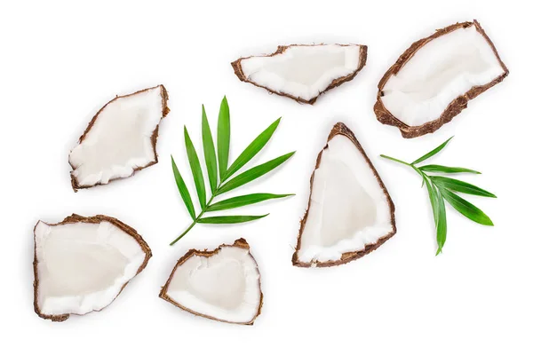 Bit av kokos med lämnar isolerade på vit bakgrund. Ovanifrån. Lekmanna-platt — Stockfoto