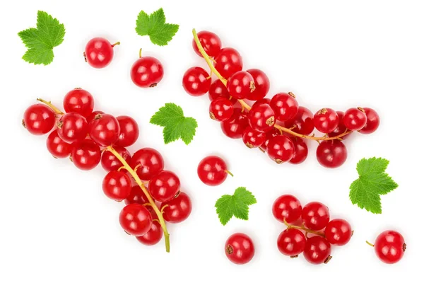 Red currant berry with leaf isolated on white background. Top view. Flat lay pattern — Stock Photo, Image