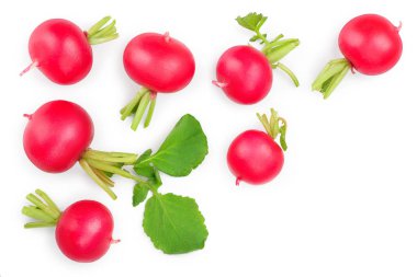 metin için kopya alanı ile beyaz arka plan üzerinde izole taze tüm turp. Üst görünüm