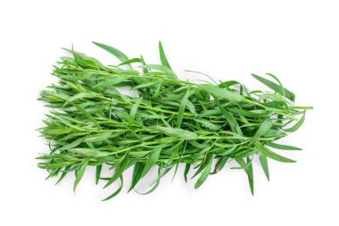 Taron veya Estragon beyaz bir arka planda izole. Artemisia dracunculus