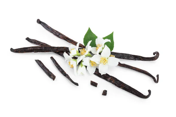 Stik vanili dengan bunga dan daun terisolasi pada latar belakang putih — Stok Foto