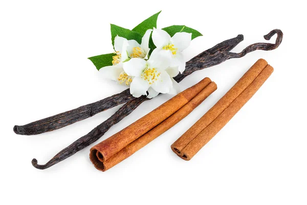 Vanila dan kayu manis tongkat dengan bunga dan daun terisolasi pada latar belakang putih — Stok Foto
