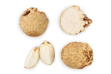 Taze kereviz kökü beyaz arka plan izole. Üst te. Düz yatıyordu. Ayarlama veya toplama