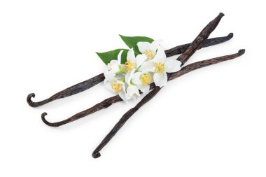 Çiçek ve yaprak beyaz arka plan üzerinde izole ile vanilya çubukları