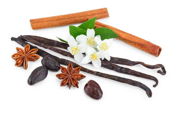 Vanila dan kayu manis tongkat dengan biji kakao dan bintang adas terisolasi di latar belakang putih — Stok Foto