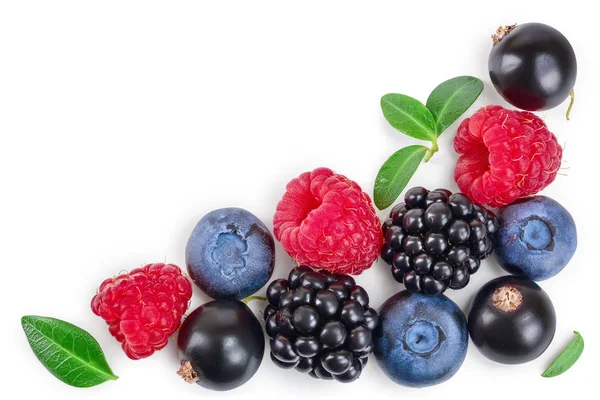 Blackberry blueberry raspberry black currant isolated on white background with copy space for your text. Top view. Flat lay pattern — Stock Photo, Image