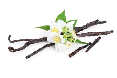 Çiçek ve yaprak beyaz arka plan üzerinde izole ile vanilya çubukları