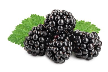 BlackBerry üzerinde beyaz arka plan closeup izole yaprak ile