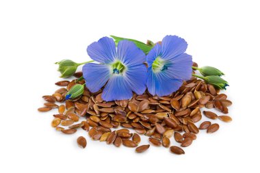 Beyaz arkaplandaki çiçekli keten tohumları