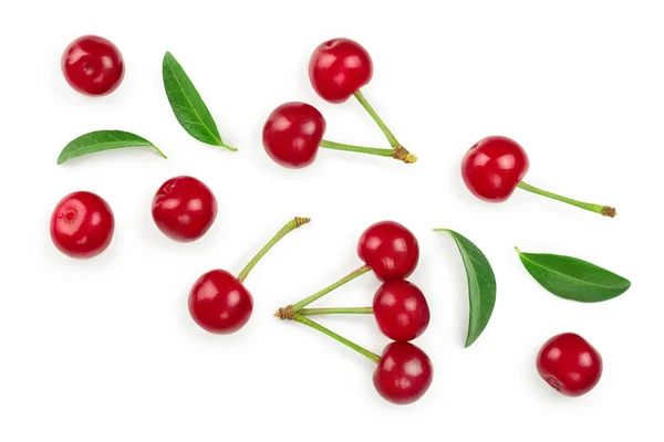 Quelques cerises à gros plan de feuilles isolées sur fond blanc. Vue de dessus. Pose plate . — Photo