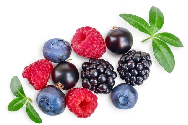 Campuran blackberry blueberry raspberry terisolasi pada latar belakang putih. Pemandangan bagus. Pola lay datar — Stok Foto